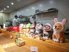 -柴务处·柴犬主题狗咖