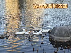 -木塔寺遗址生态公园