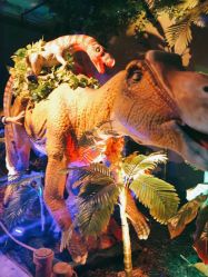 -恐龙探索乐园(磁器口店)