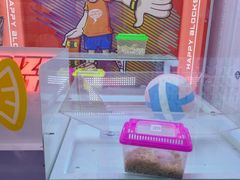 -快乐街区(成都龙湖北城天街店)