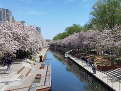 -海棠花溪(元大都城垣遗址公园)