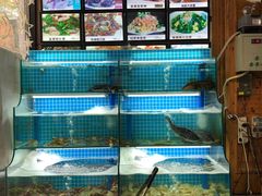 水产区-老东镇啤酒屋海鲜加工·蒸汽海鲜·海鲜烧烤(台东店)