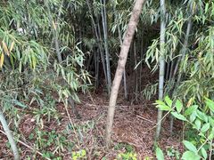 -杏花村文化旅游区