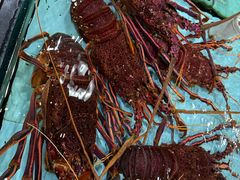 -渔民新村(番禺总店)