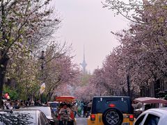 -天津五大道文化旅游区