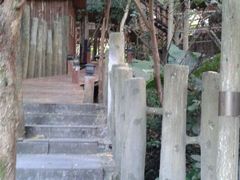android_upload_pic-天门沟九州驿站树上汤泉