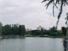 -四海公园(南山区)