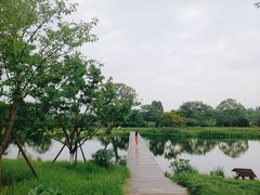 -良渚古城遗址公园