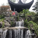 花开中国梦[加油][礼花][礼花][礼花]