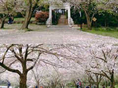-苏州上方山国家森林公园