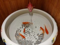 -砂锅居·始于1741(万丰路店)