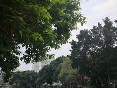 -荔湾湖公园