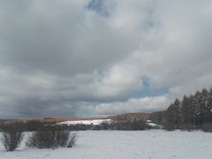 -塞罕坝国家级自然保护区