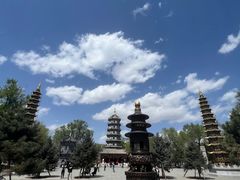-哈尔滨极乐寺