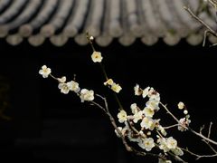 -钱王祠