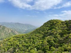 -大岭沟猕猴桃谷风景区