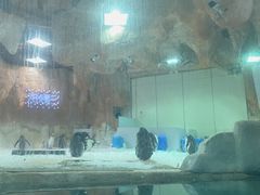 -威海华夏城景区