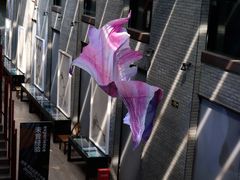 -成都许燎源现代设计艺术博物馆