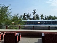 -半山半岛洲际度假酒店·观海廊