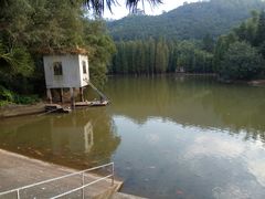 -滴水岩森林公园
