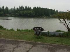 -东平国家森林公园