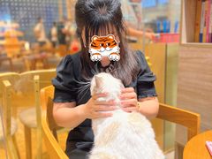 -藏猫猫咖啡主题馆(中央大道店)