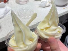 冰淇淋-龍歌自助小火锅(城阳万象汇店)