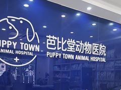 -芭比堂动物医院·24小时·眼科中心(深圳中心)