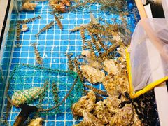 -金龙·打边炉(南京西路店)