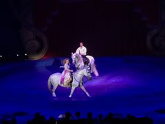 -珠海横琴长隆《卡卡虎奇遇记》