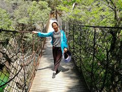 -祁门牯牛降观音堂风景区