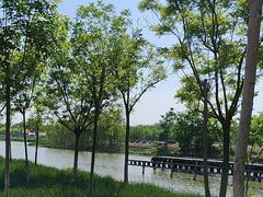 -天津东丽湖风景区