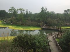 -桤木河湿地公园