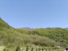 -牛背梁国家森林公园