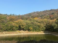 -紫金山山顶公园