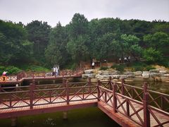 -北京西山国家森林公园