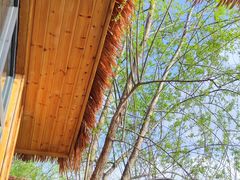 -西部长青自然儿童乐园