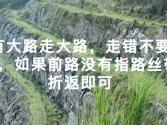 -黄埔油麻山森林公园