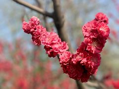 -太阳宫公园