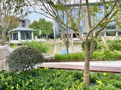 -金陵中学(河西分校)