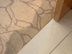 -上海浦东嘉里大酒店