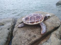 -在海一方公园