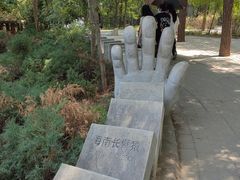 -北京麋鹿生态实验中心