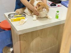 -美联众合动物医院·24h转诊中心