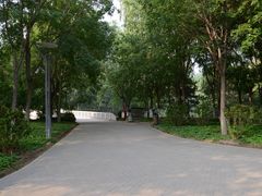 -大兴滨河森林公园