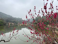 -南国桃园旅游度假区