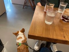 -Punchline Coffee&Roaster(同济大学店)