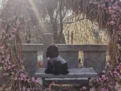 -唐山尚禾源旅游景区