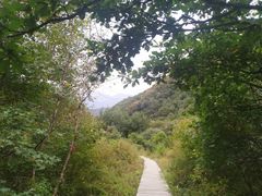 -灵山