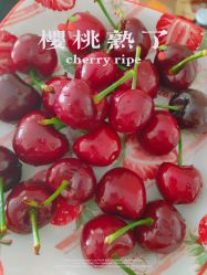 -Oasis Beauty水磨坊科技美肤中心